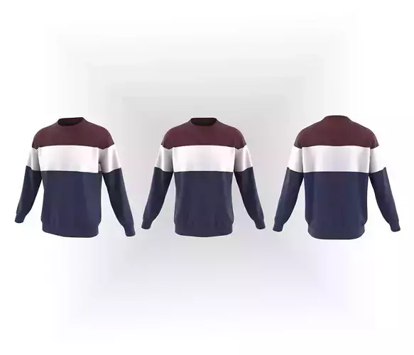 Men Color Block Sweatshirt