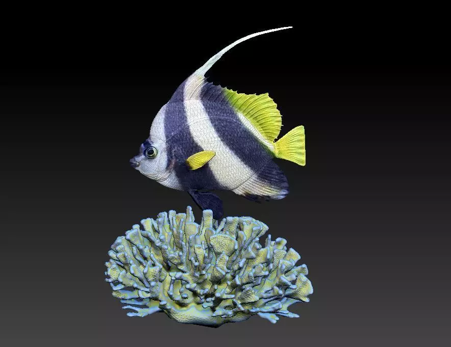 Coralfish 3D print model