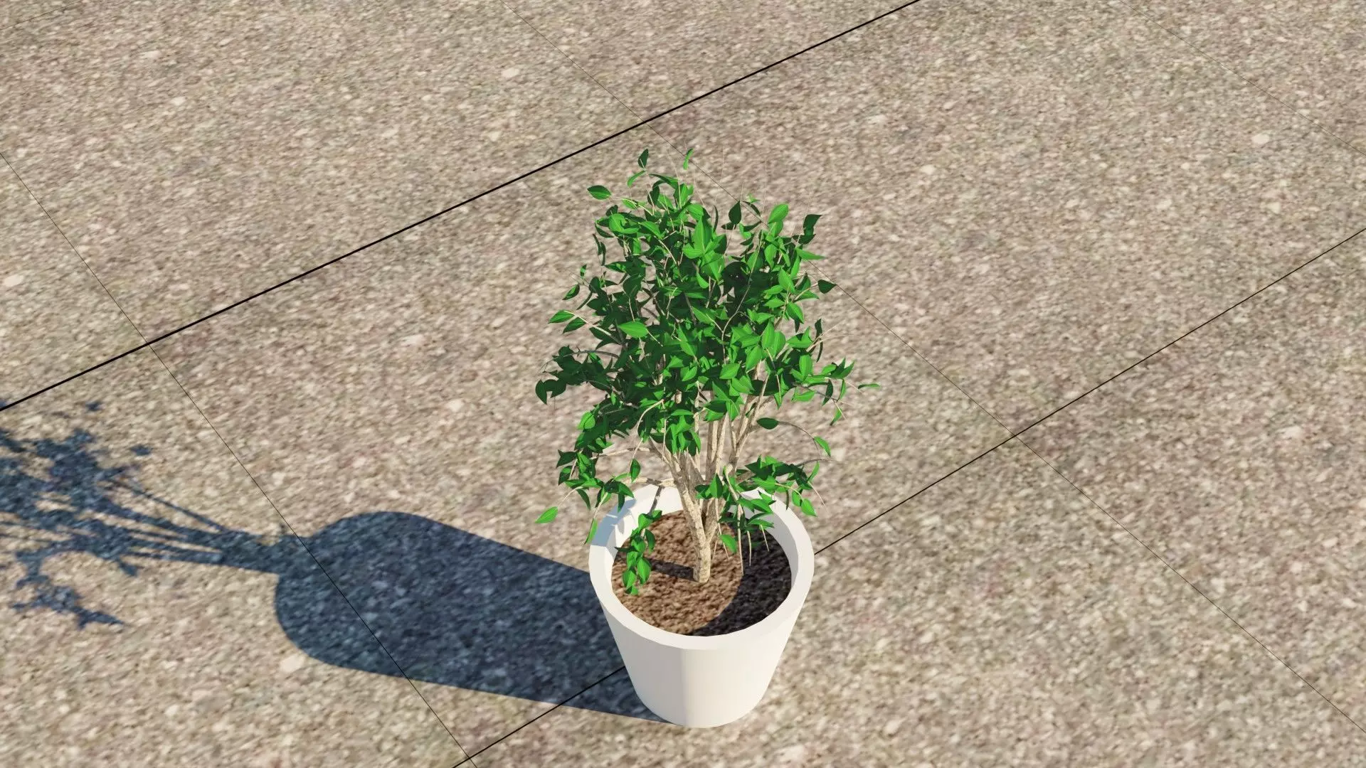 Simple Tree with pot Free low-poly 3D model