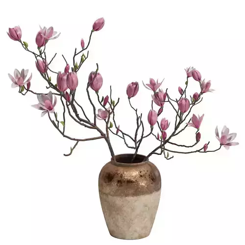 Magnolia Shrubs In Clay Vase 04