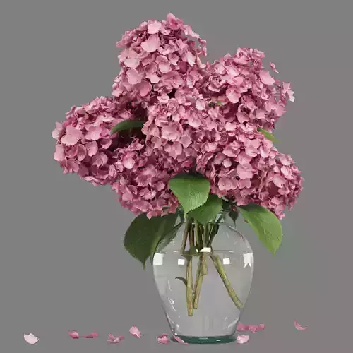 Flower In Glass Vase   07