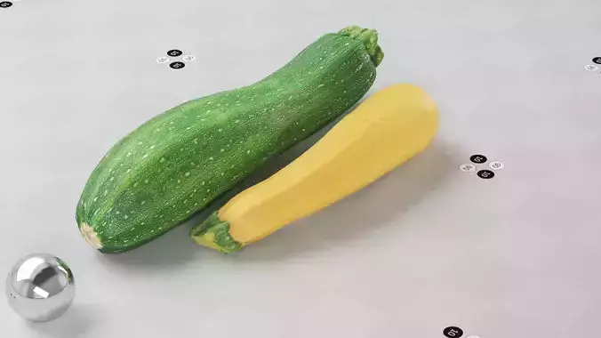 Zucchini - Photogrammetry Scan