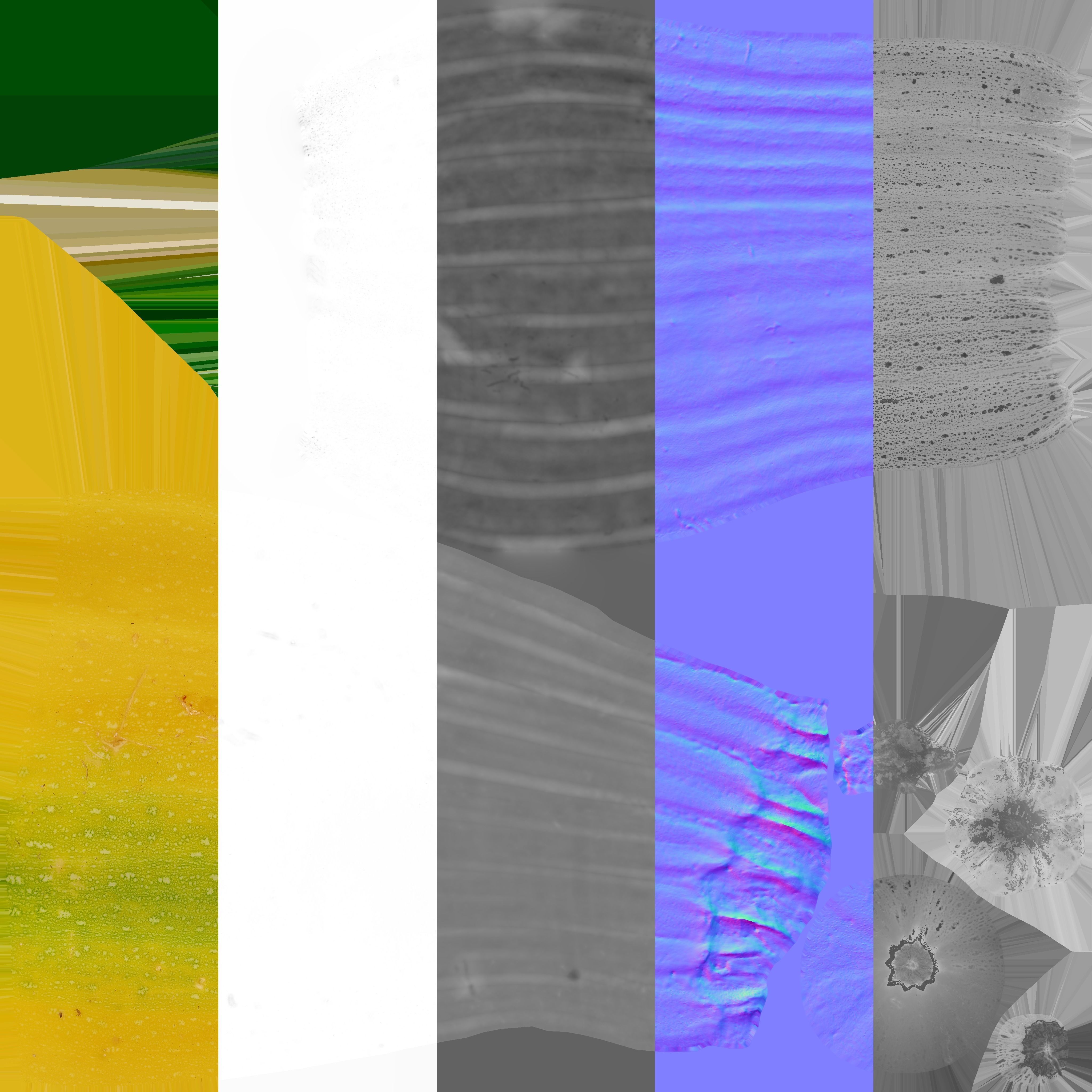 Zucchini - Photogrammetry Scan Low-poly 3D model_10