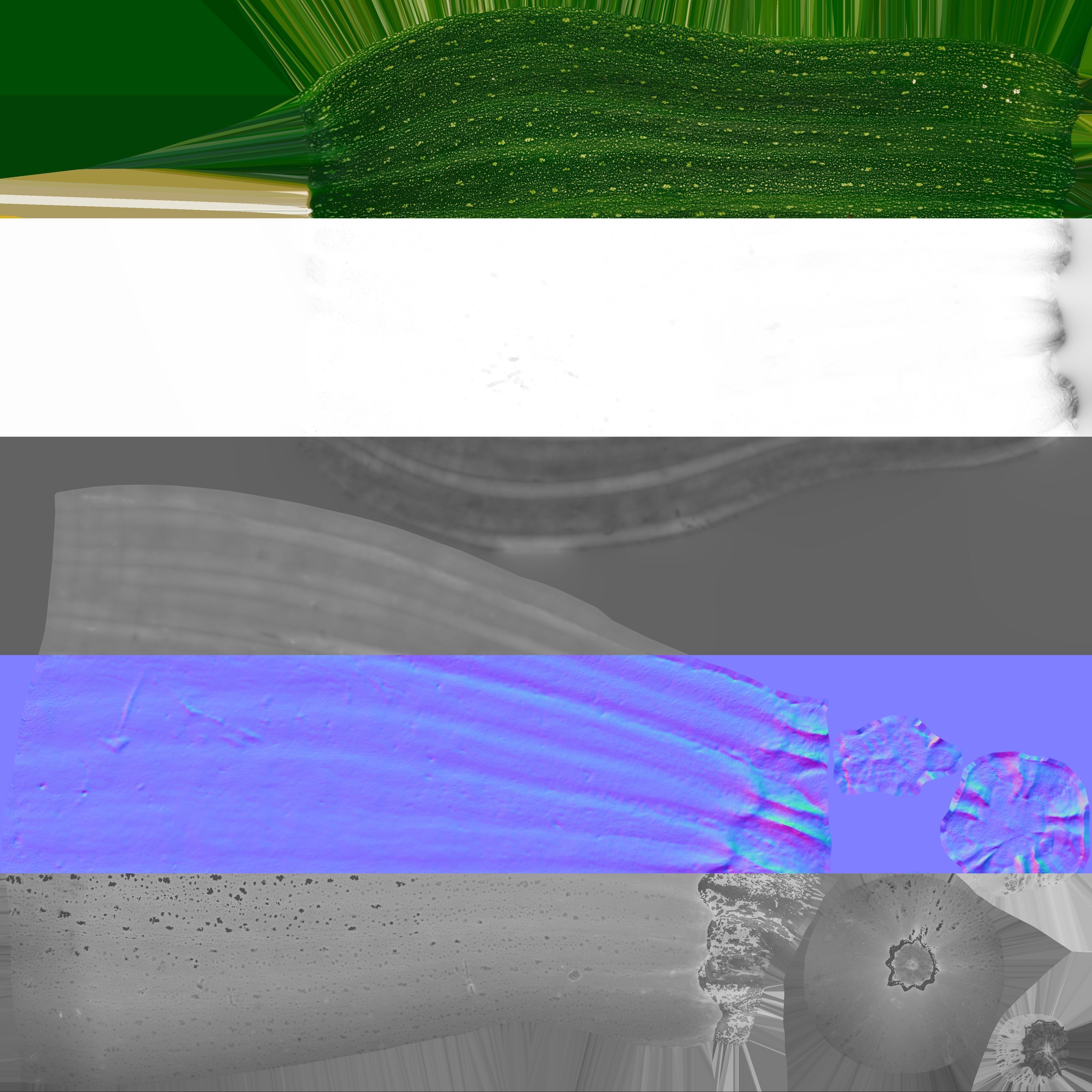 Zucchini - Photogrammetry Scan Low-poly 3D model_11