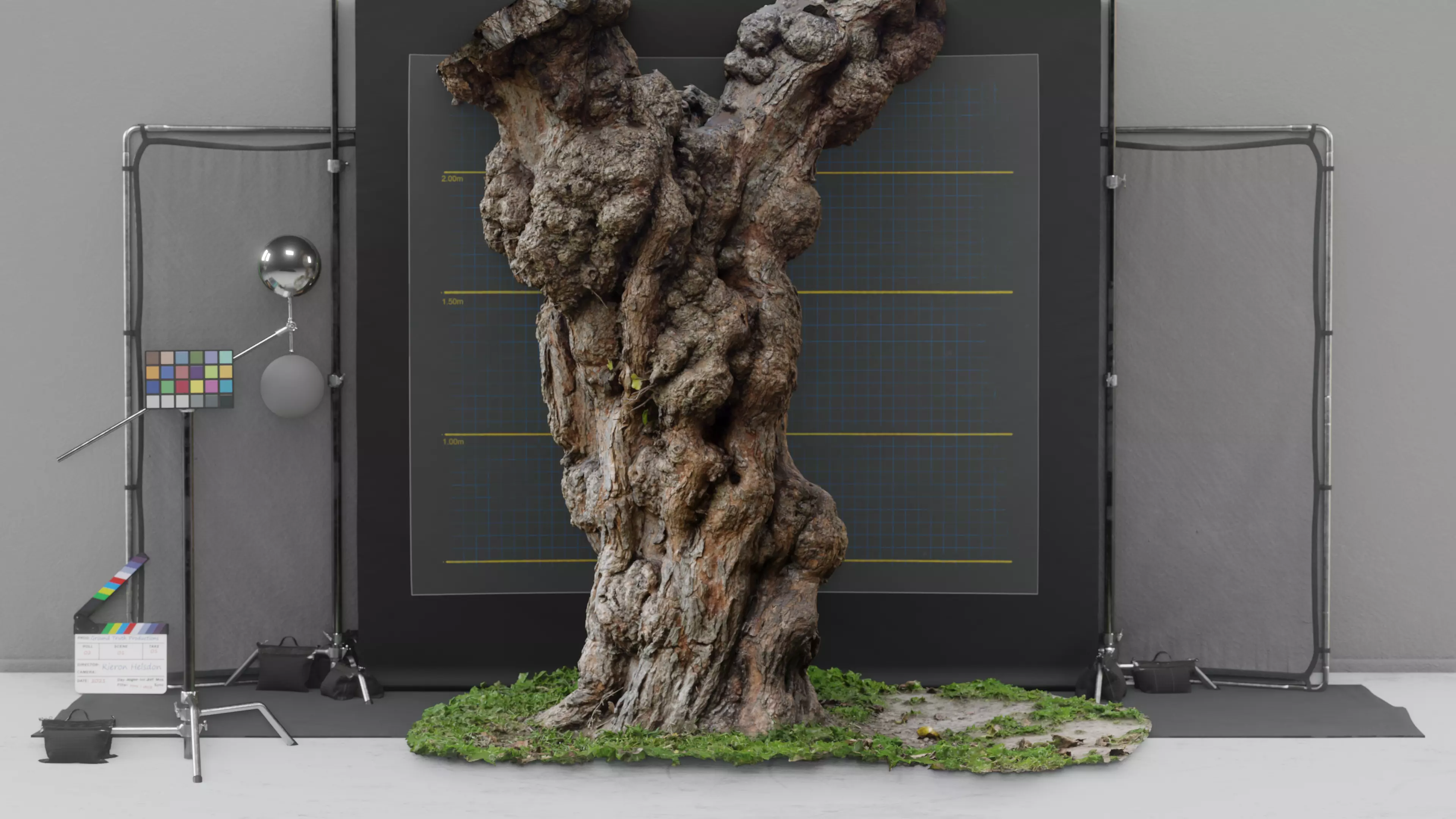 Photogrammetry Model of a Mulberry Tree Low-poly 3D model_0