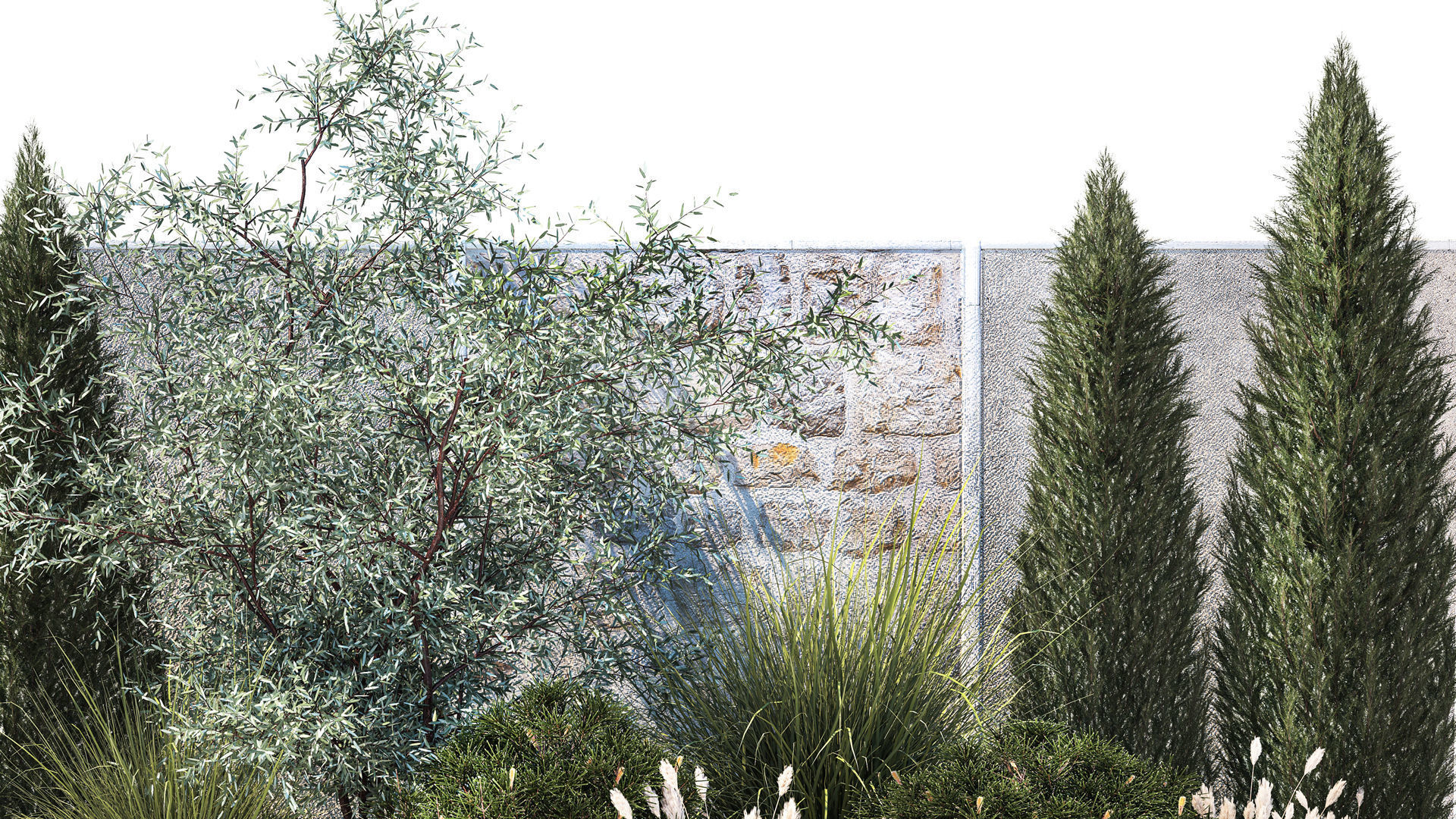 Garden with thuja cypress olive pine and bushes 1378 3D model_2