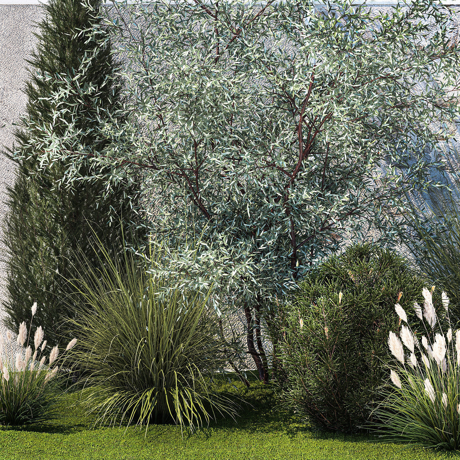 Garden with thuja cypress olive pine and bushes 1378 3D model_11
