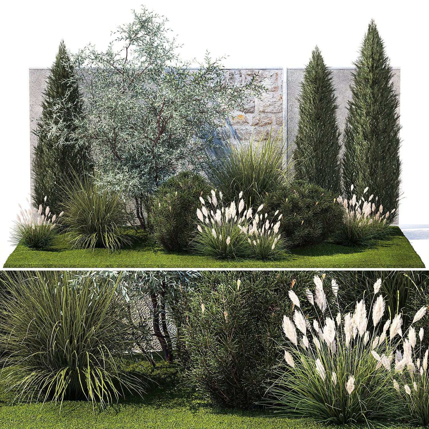 Garden with thuja cypress olive pine and bushes 1378 3D model_6