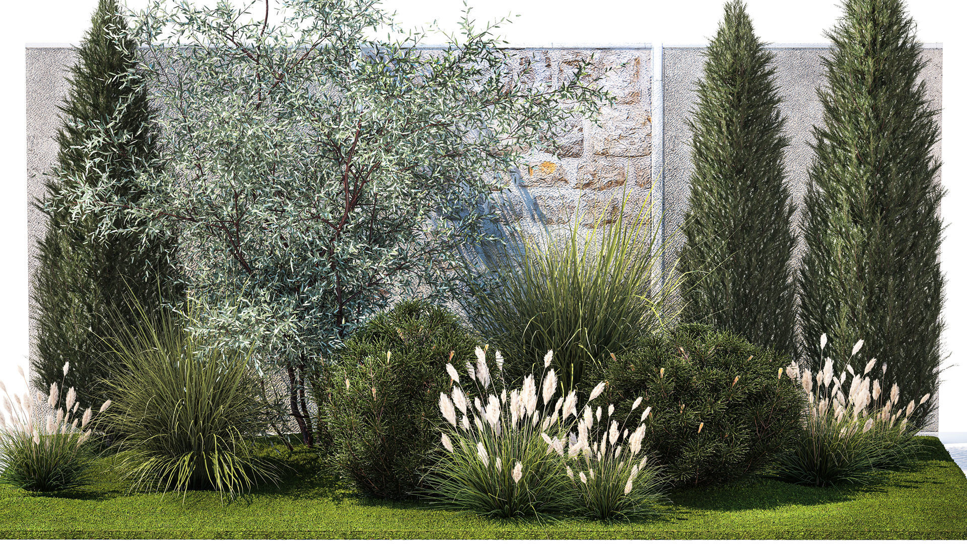 Garden with thuja cypress olive pine and bushes 1378 3D model_1