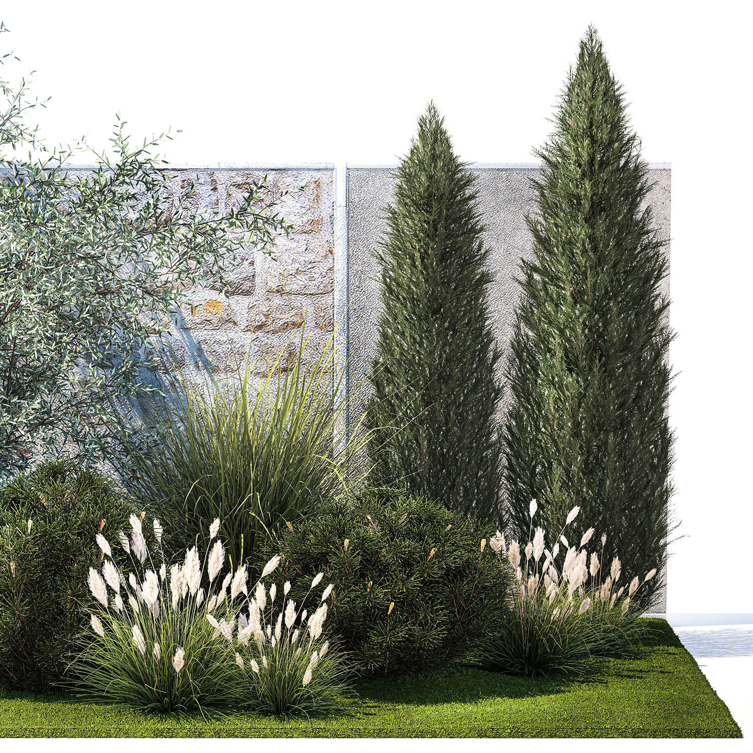 Garden with thuja cypress olive pine and bushes 1378 3D model_10