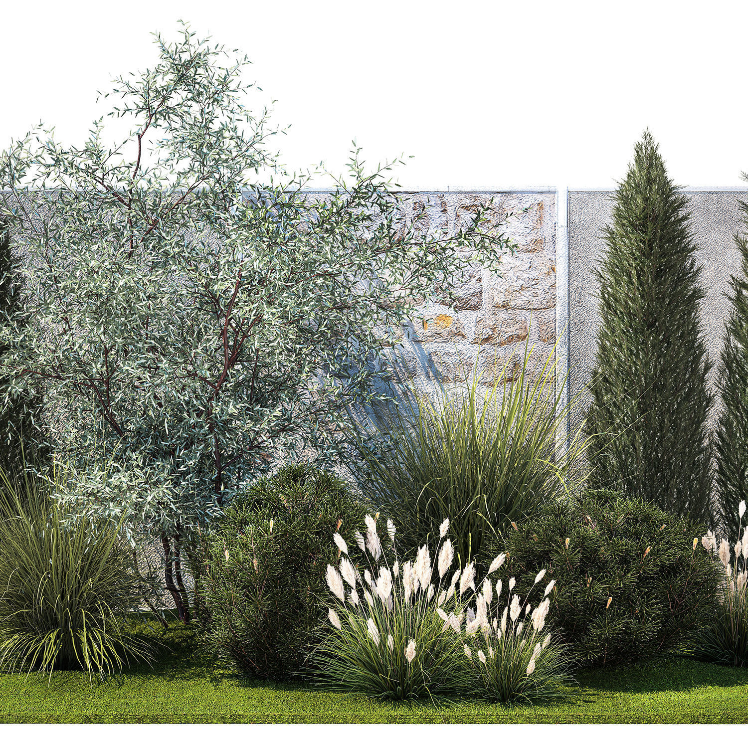 Garden with thuja cypress olive pine and bushes 1378 3D model_9