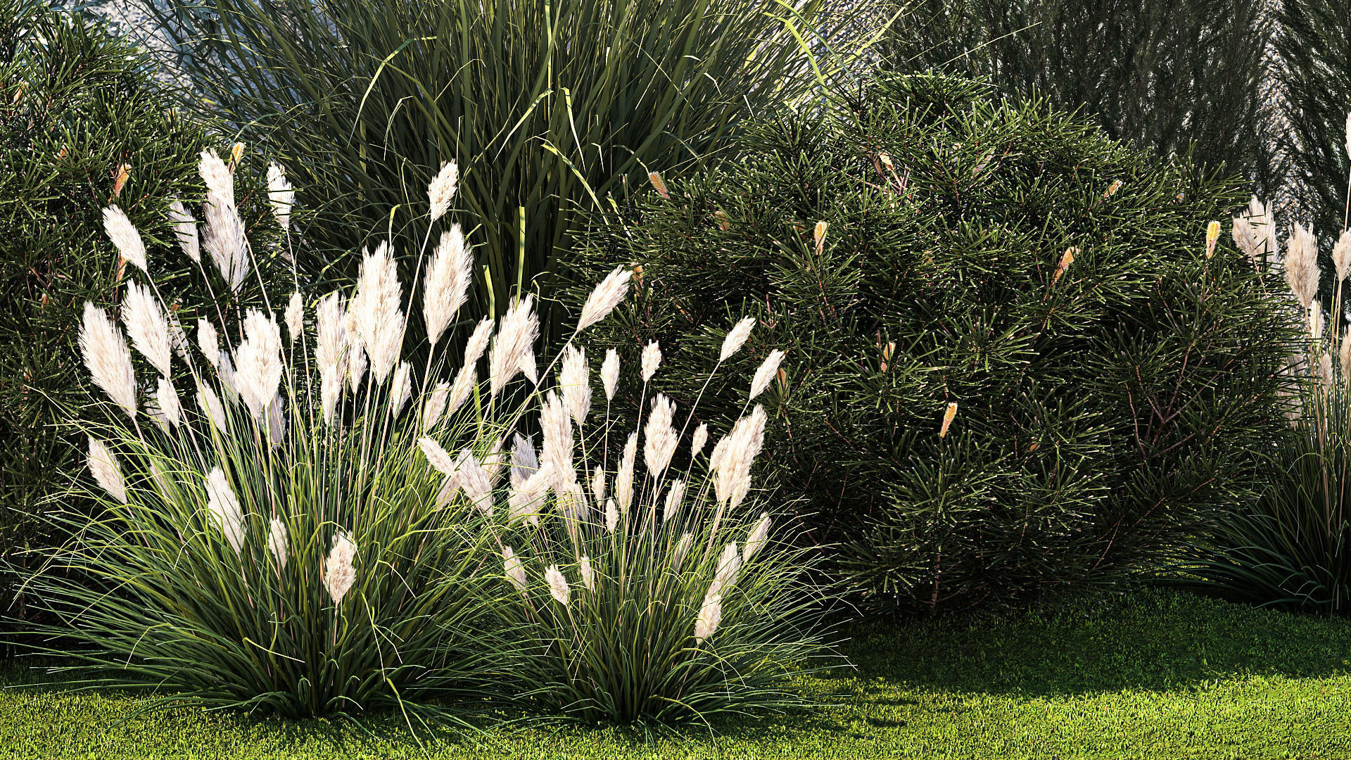 Garden with thuja cypress olive pine and bushes 1378 3D model_4