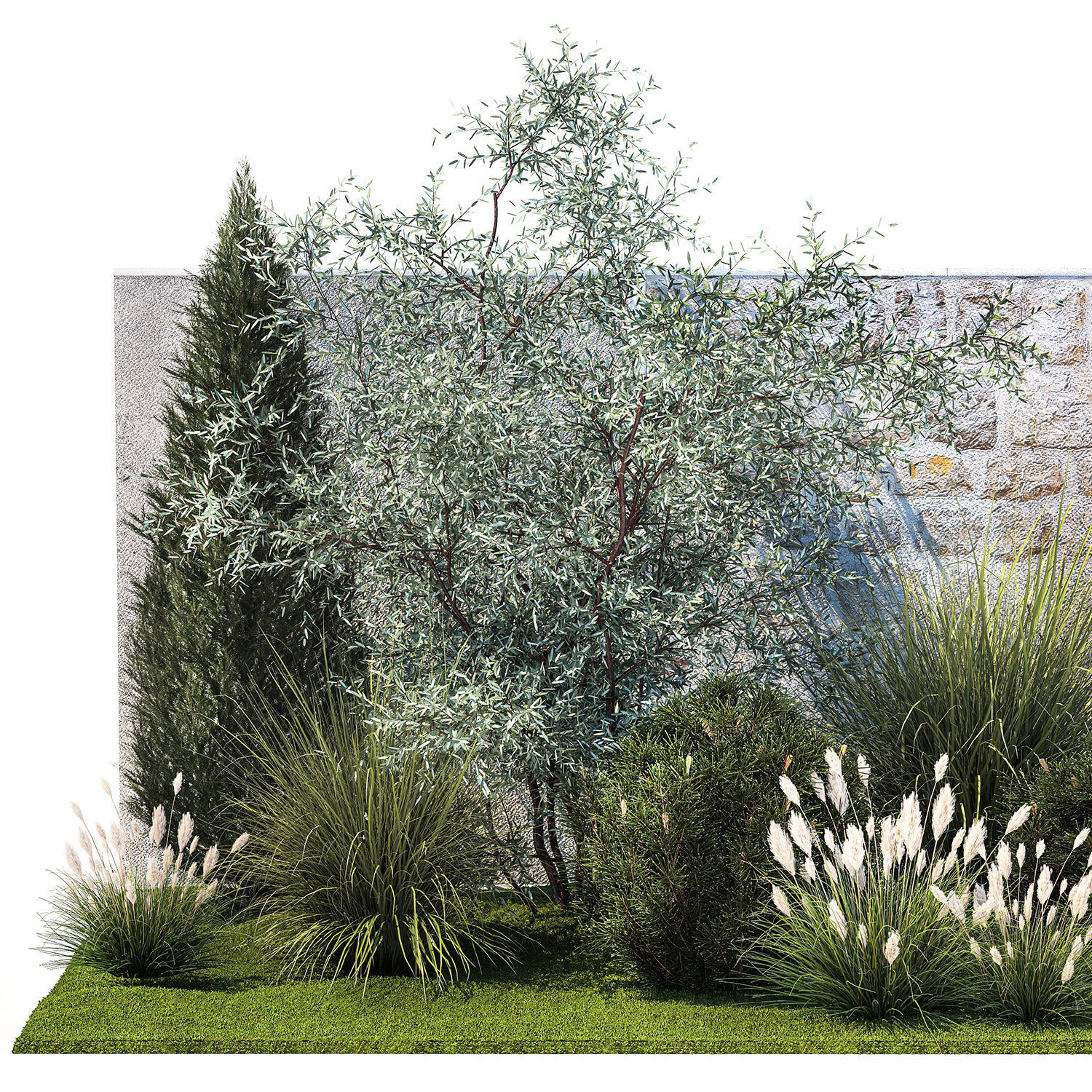 Garden with thuja cypress olive pine and bushes 1378 3D model_8