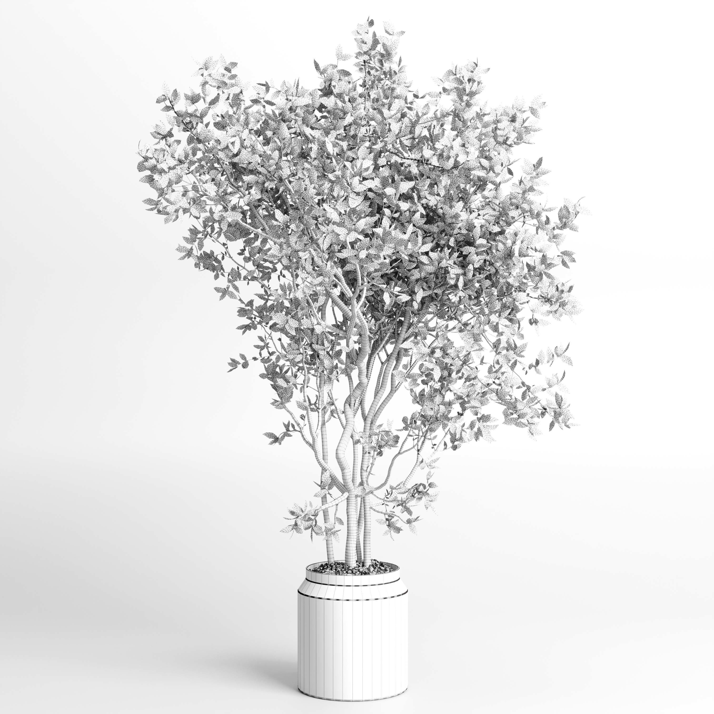 Indoor plant 406 concrete dirt vase plant tree pot Low-poly 3D model_5