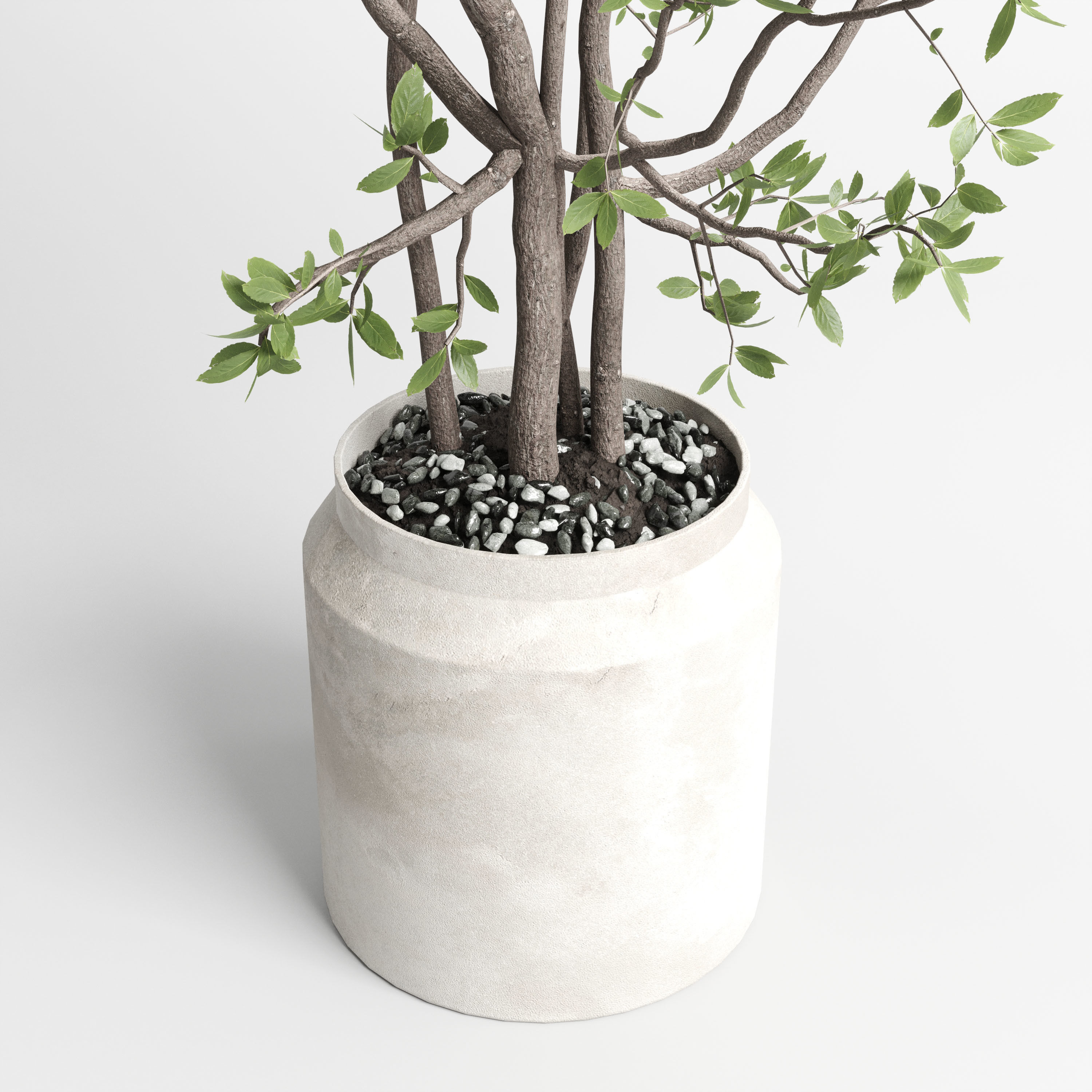 Indoor plant 406 concrete dirt vase plant tree pot Low-poly 3D model_1