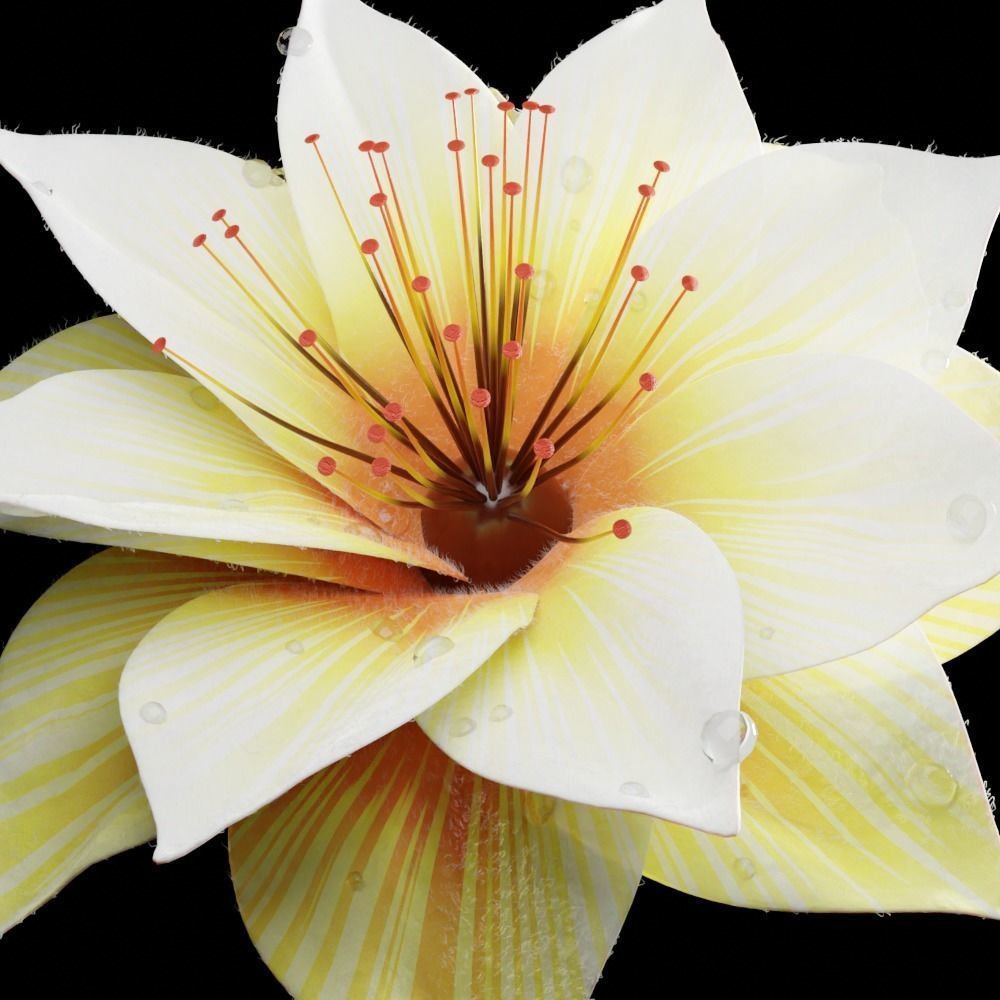 Unique Flower 09 3D model_2