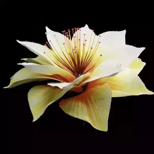 Unique Flower 09 3D model