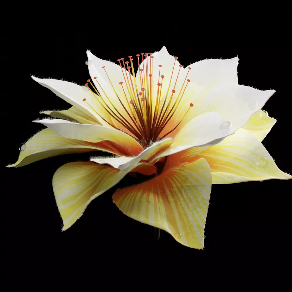 Unique Flower 09 3D model_0