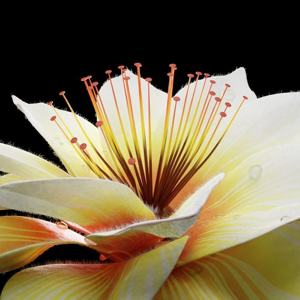 Unique Flower 09 3D model_3