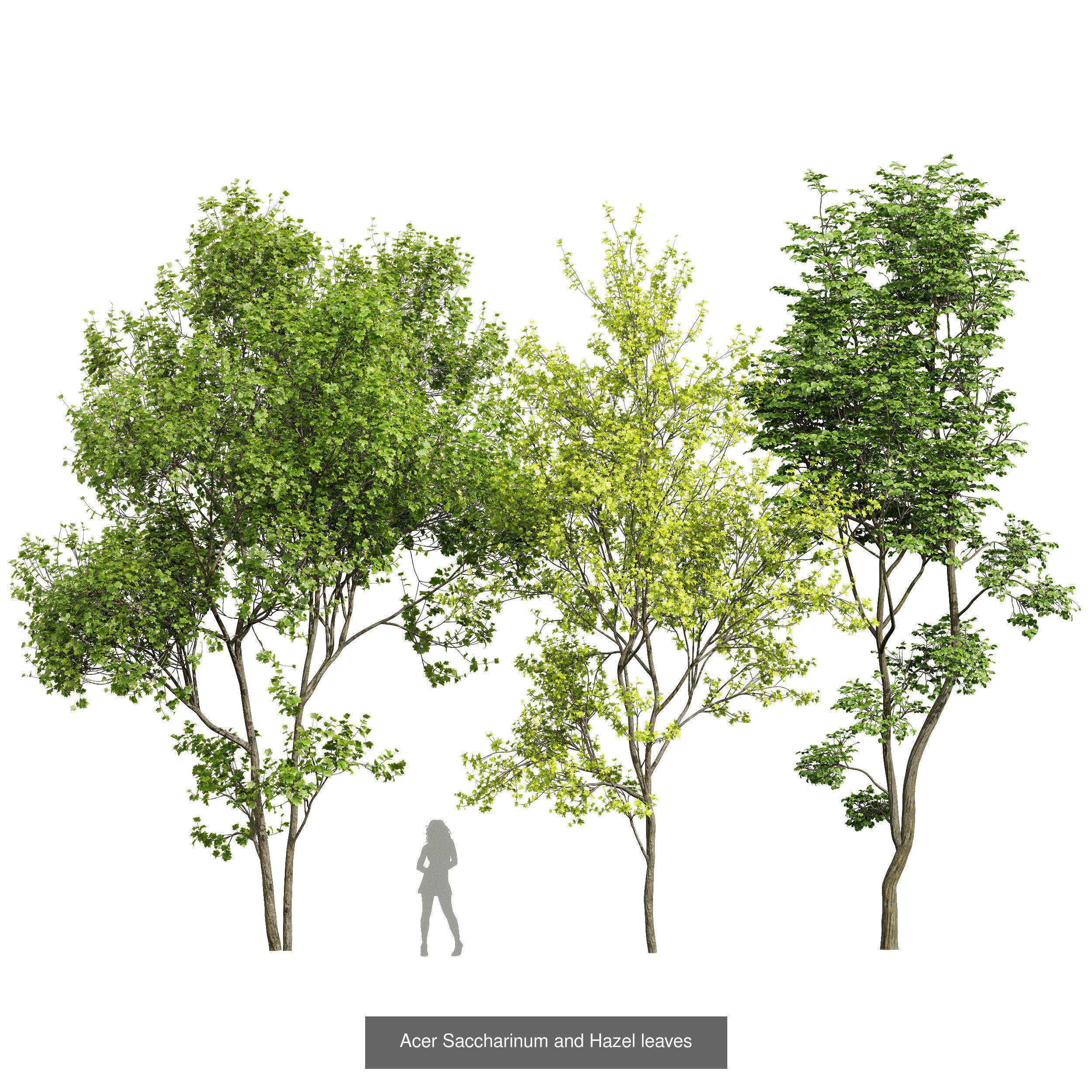 8 Different SETS Of Trees SET VOL10 3D Model Collection_1