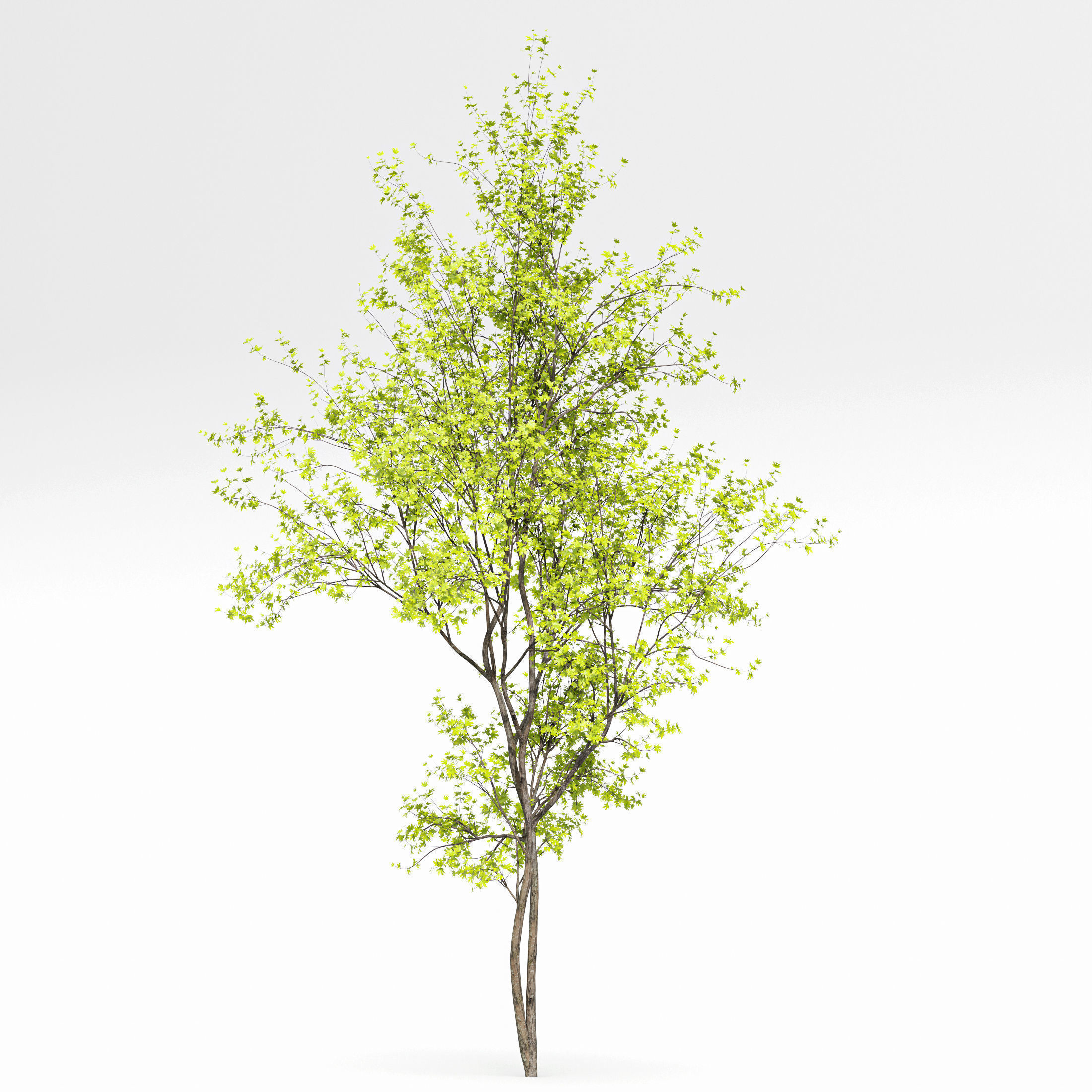 8 Different SETS Of Trees SET VOL10 3D Model Collection_10