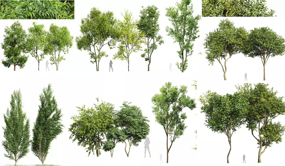 8 Different SETS Of Trees SET VOL10 3D Model Collection_0