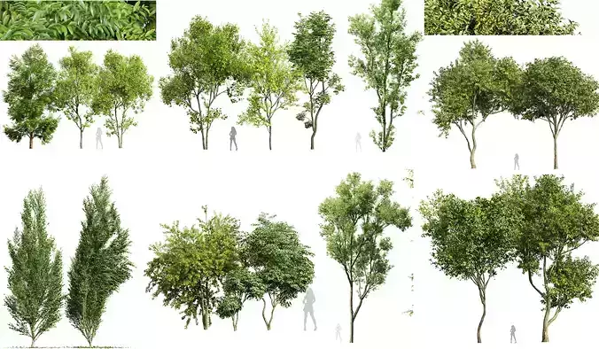 8 Different SETS Of Trees SET VOL10 3D Model Collection
