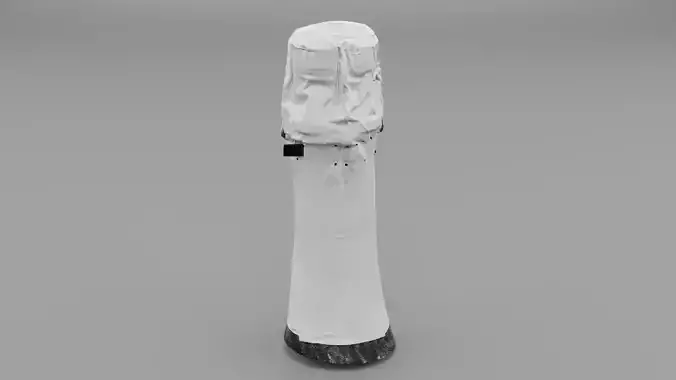 Champagne foil neck high-poly 3D model