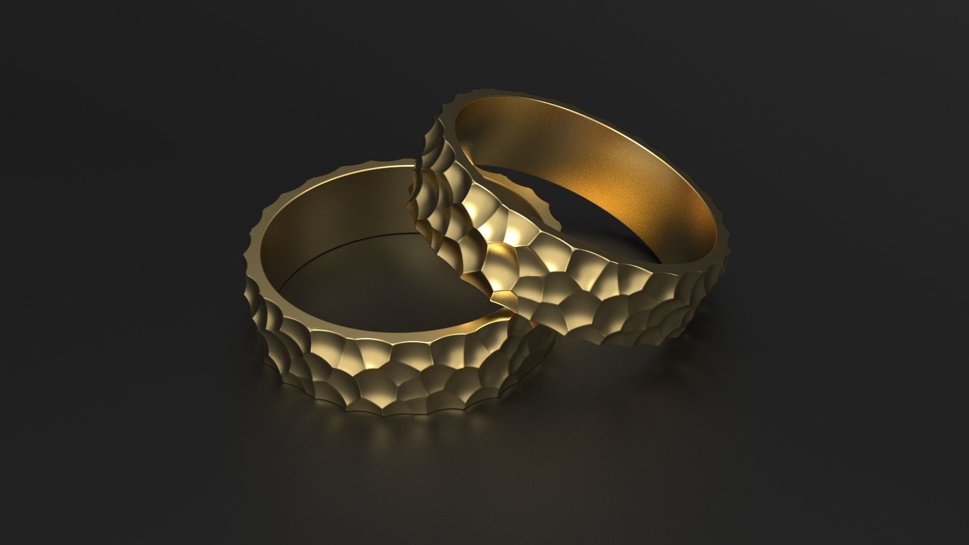 SANJ Ring 01 Free 3D print model_2