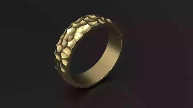 SANJ Ring 01 Free 3D print model