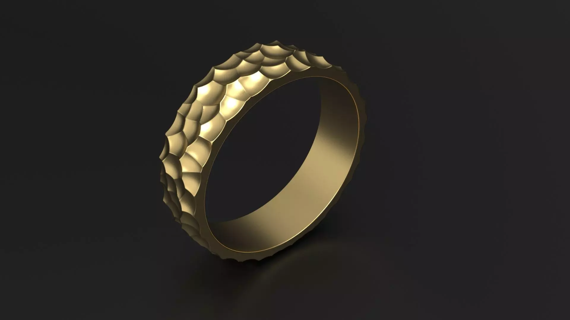 SANJ Ring 01 Free 3D print model_0