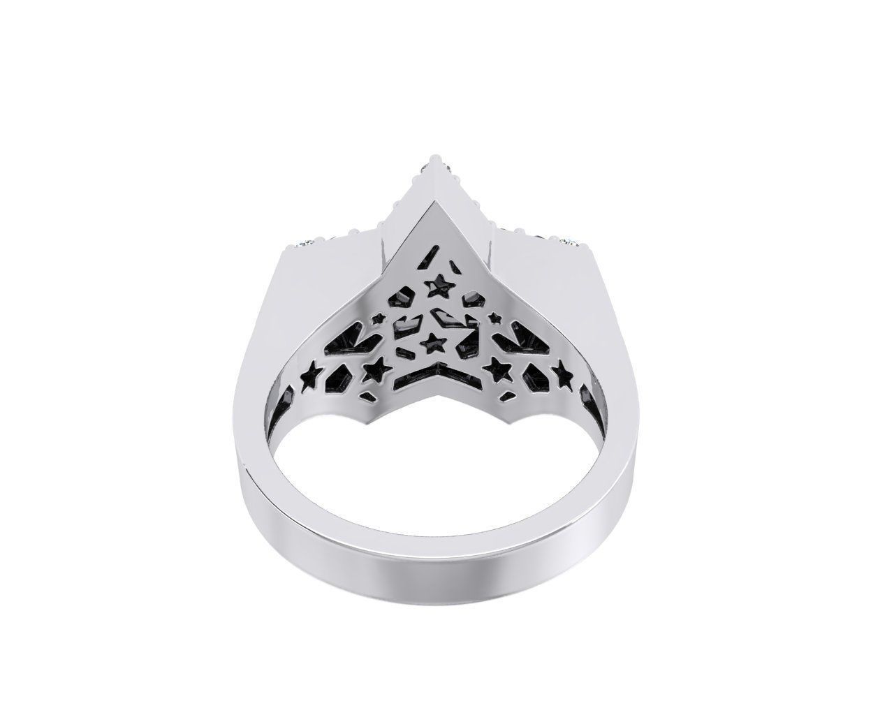 RIng Star N2 3D print model_5