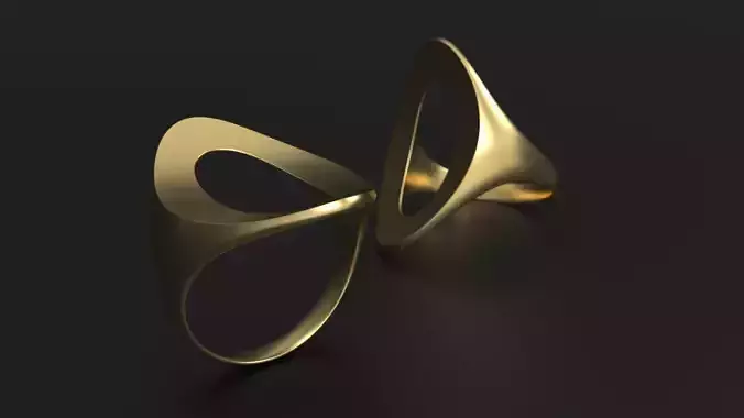 SANJ Ring 02 Free 3D print model