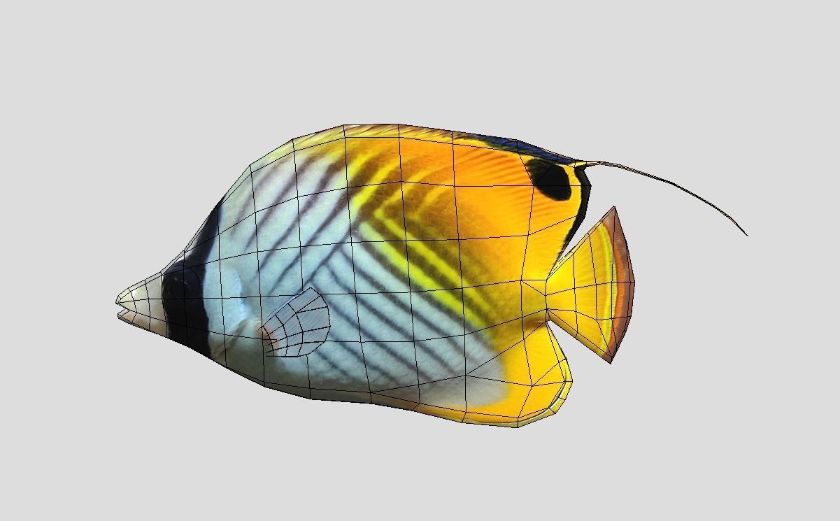 Auriga Butterflyfish Realistic Animated Low-poly 3D model_1