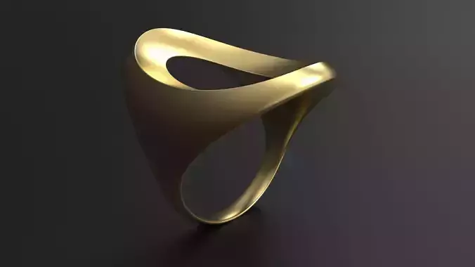 SANJ Ring 03 Free 3D print model