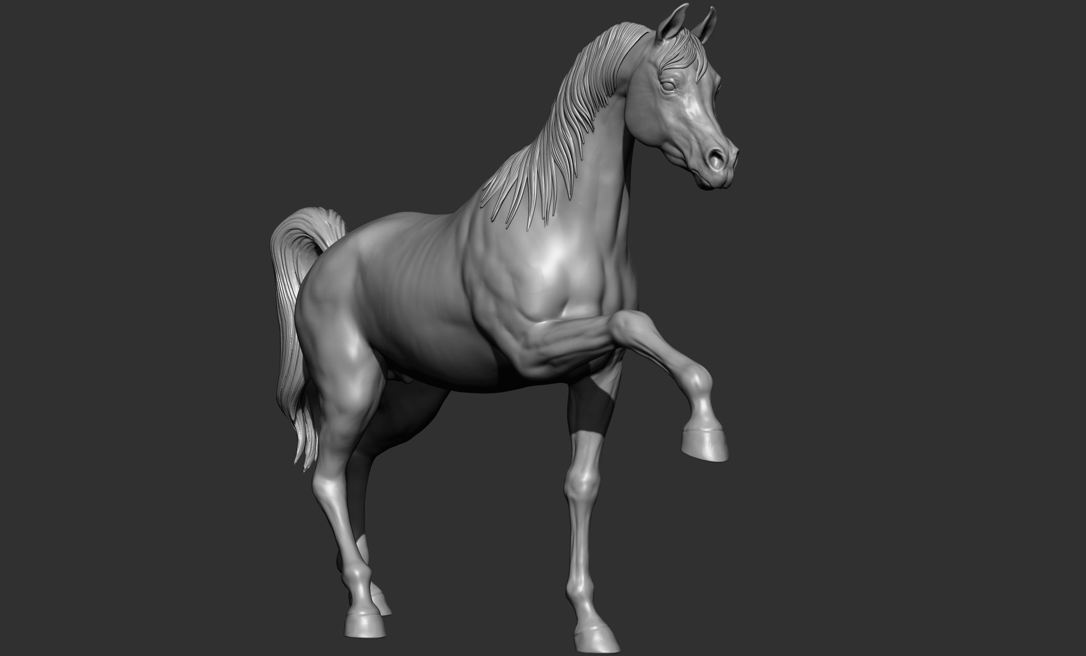 7-Arabian Horse Poses 3D model_38