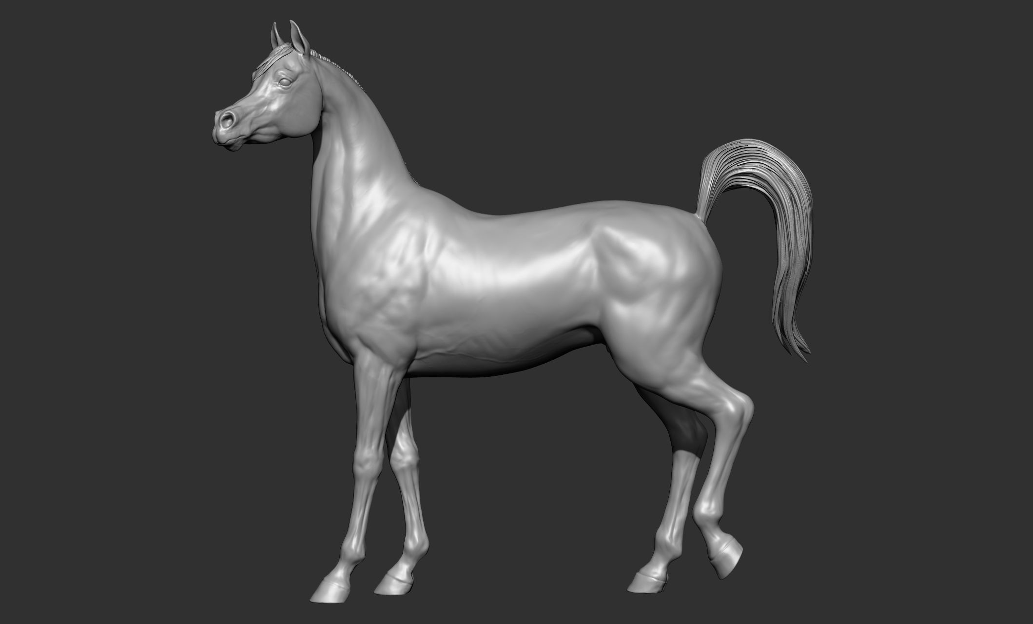 7-Arabian Horse Poses 3D model_7