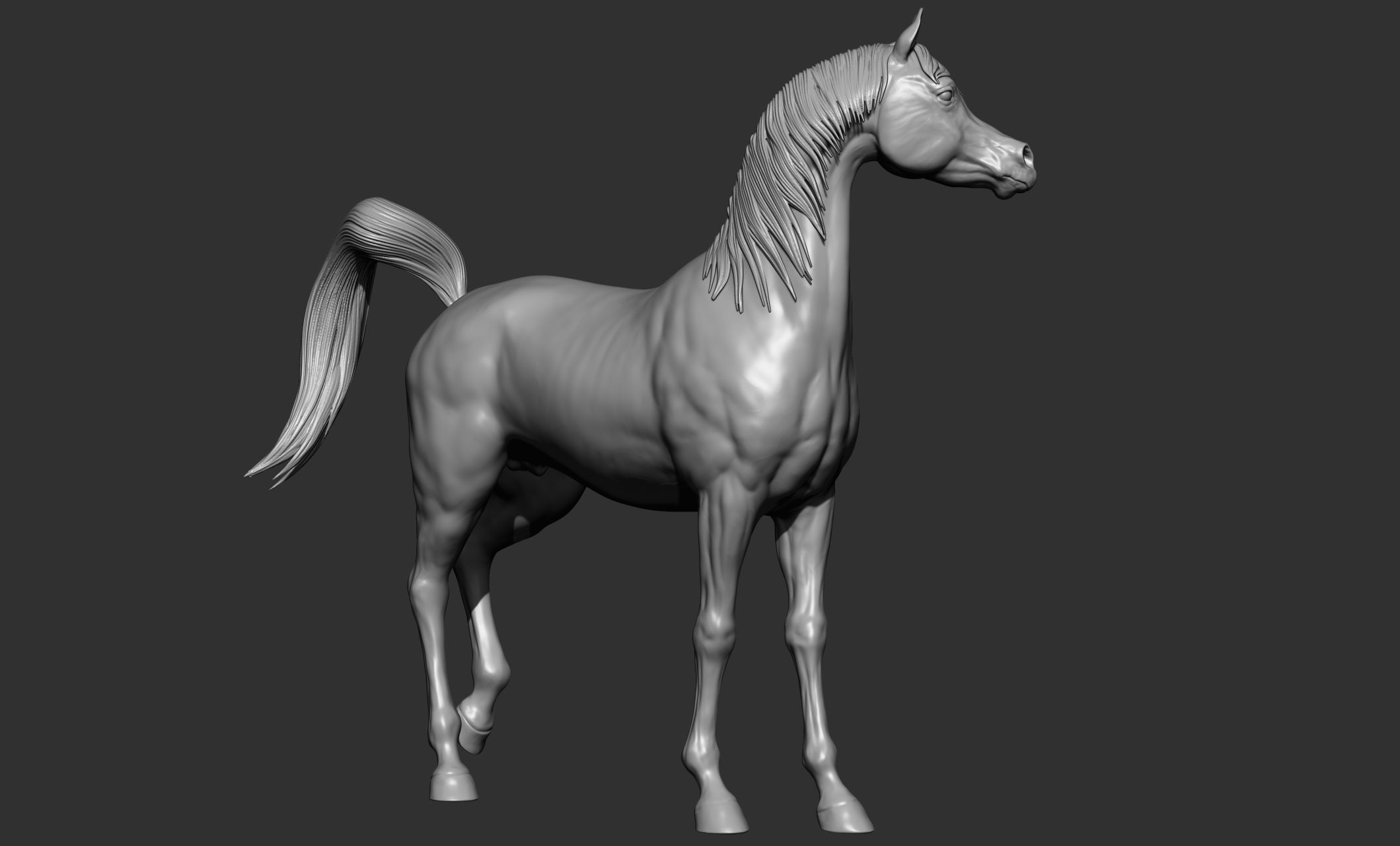 7-Arabian Horse Poses 3D model_10