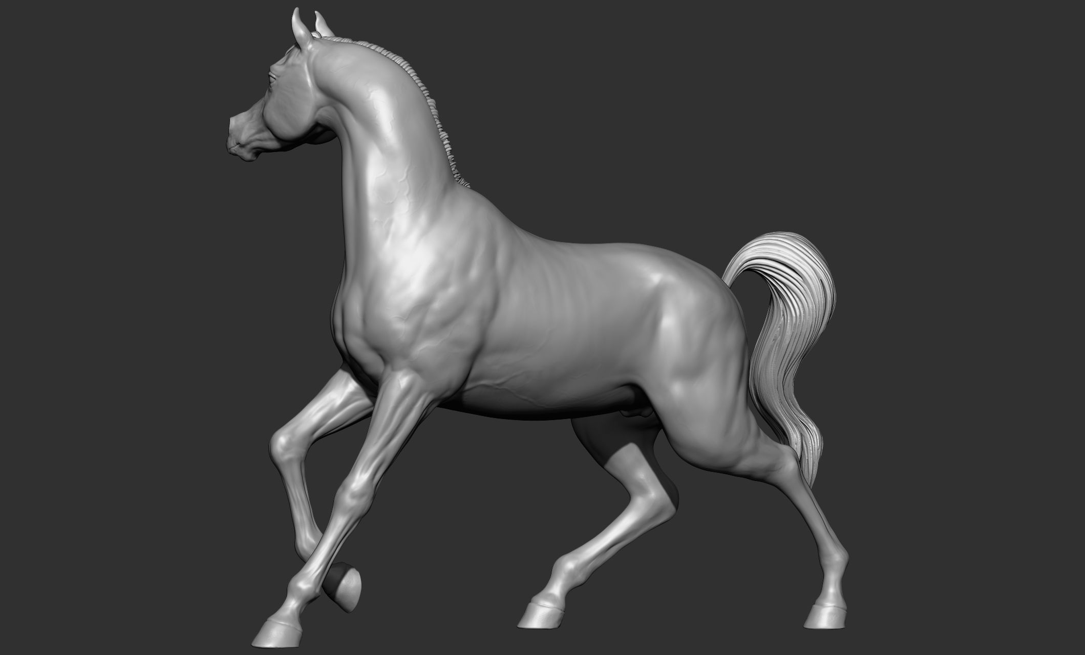 7-Arabian Horse Poses 3D model_4