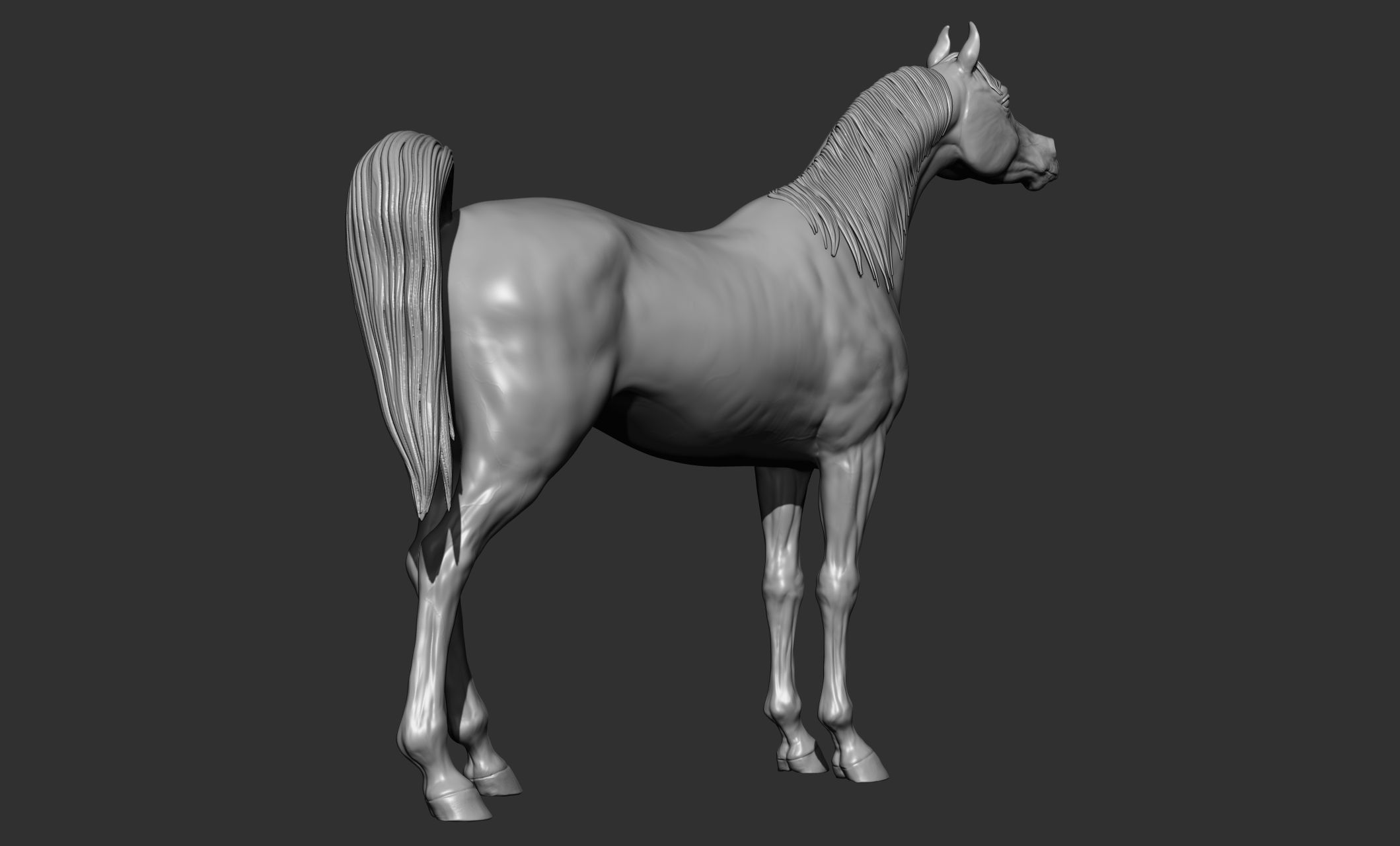 7-Arabian Horse Poses 3D model_17