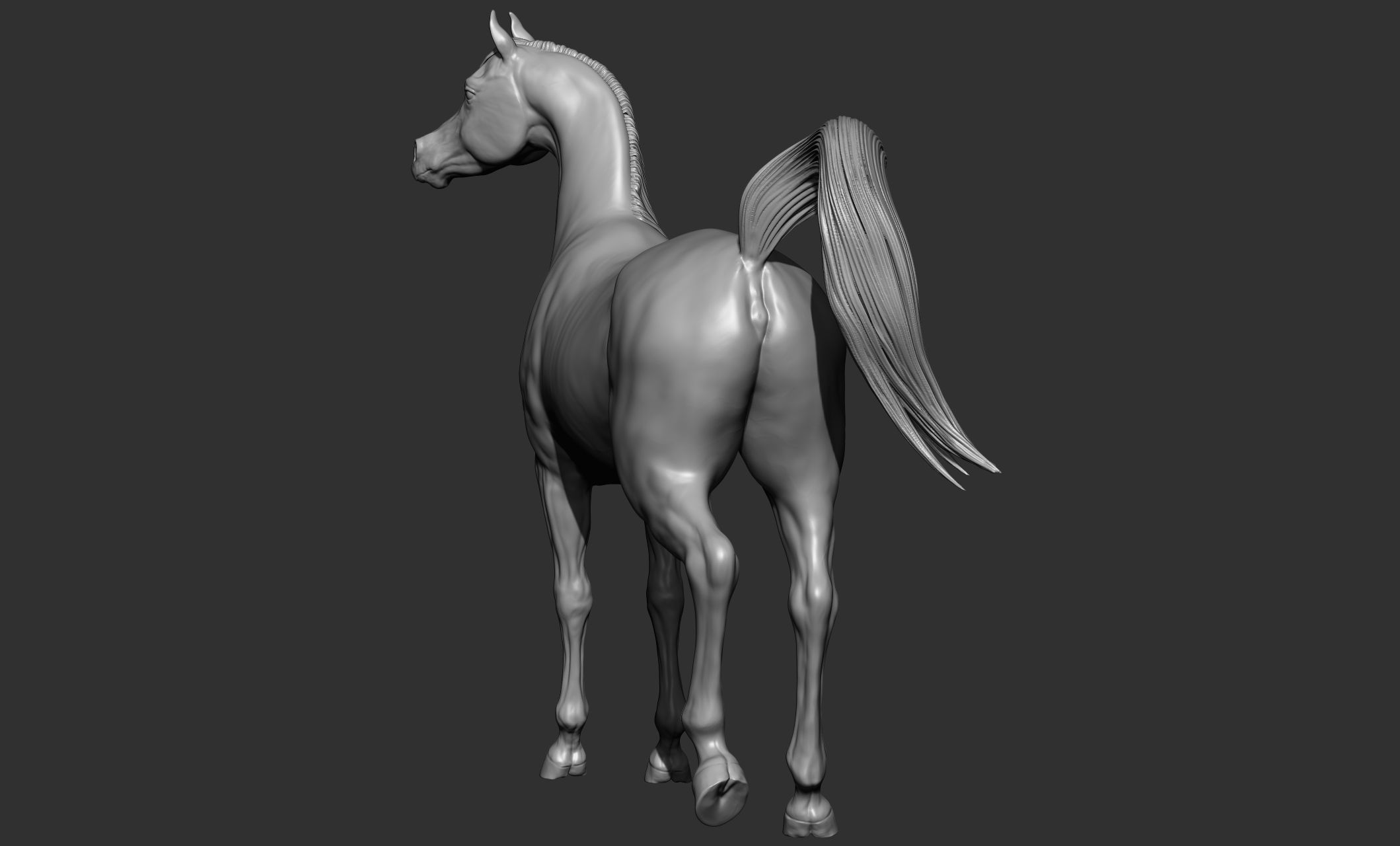 7-Arabian Horse Poses 3D model_13