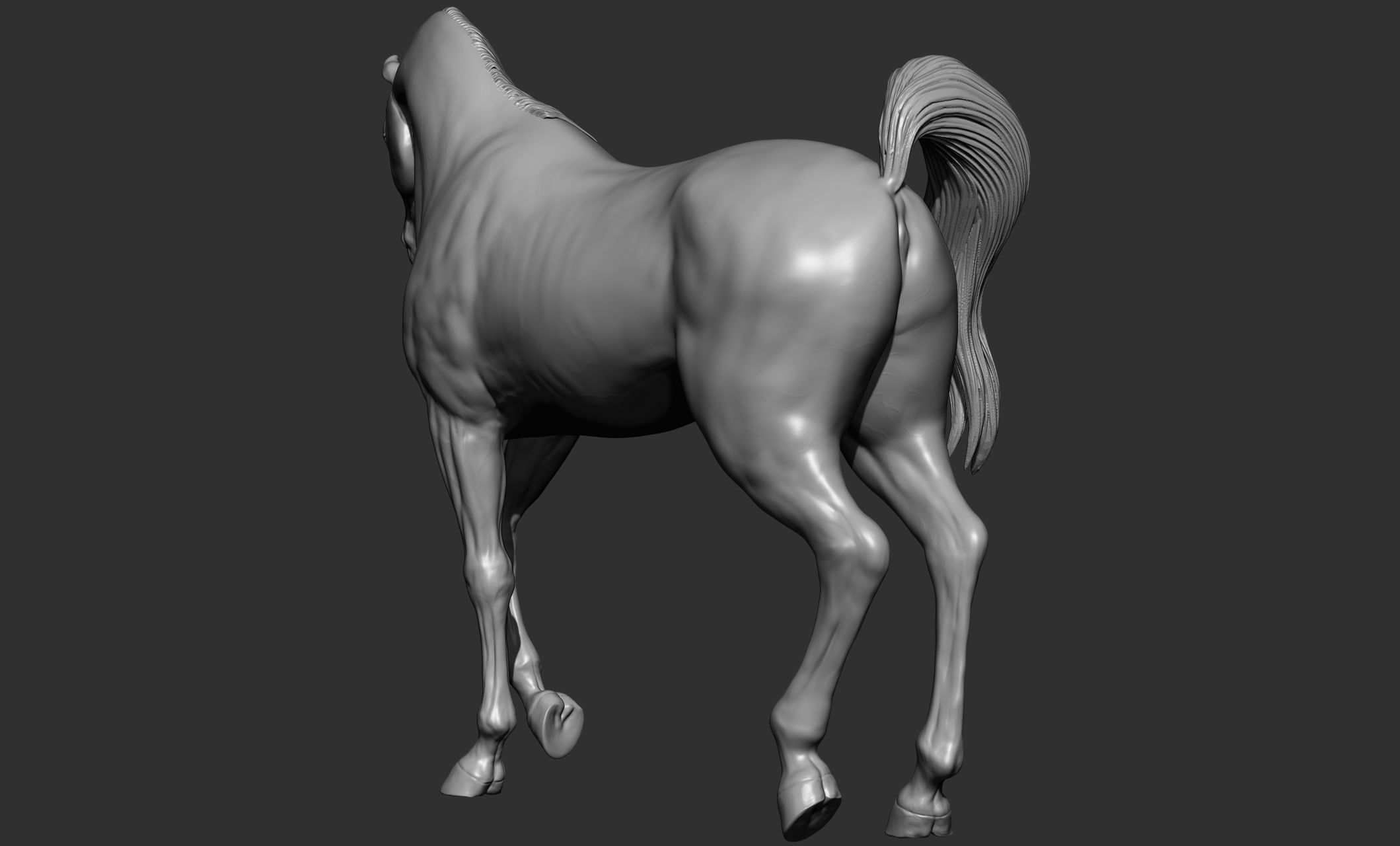 7-Arabian Horse Poses 3D model_29