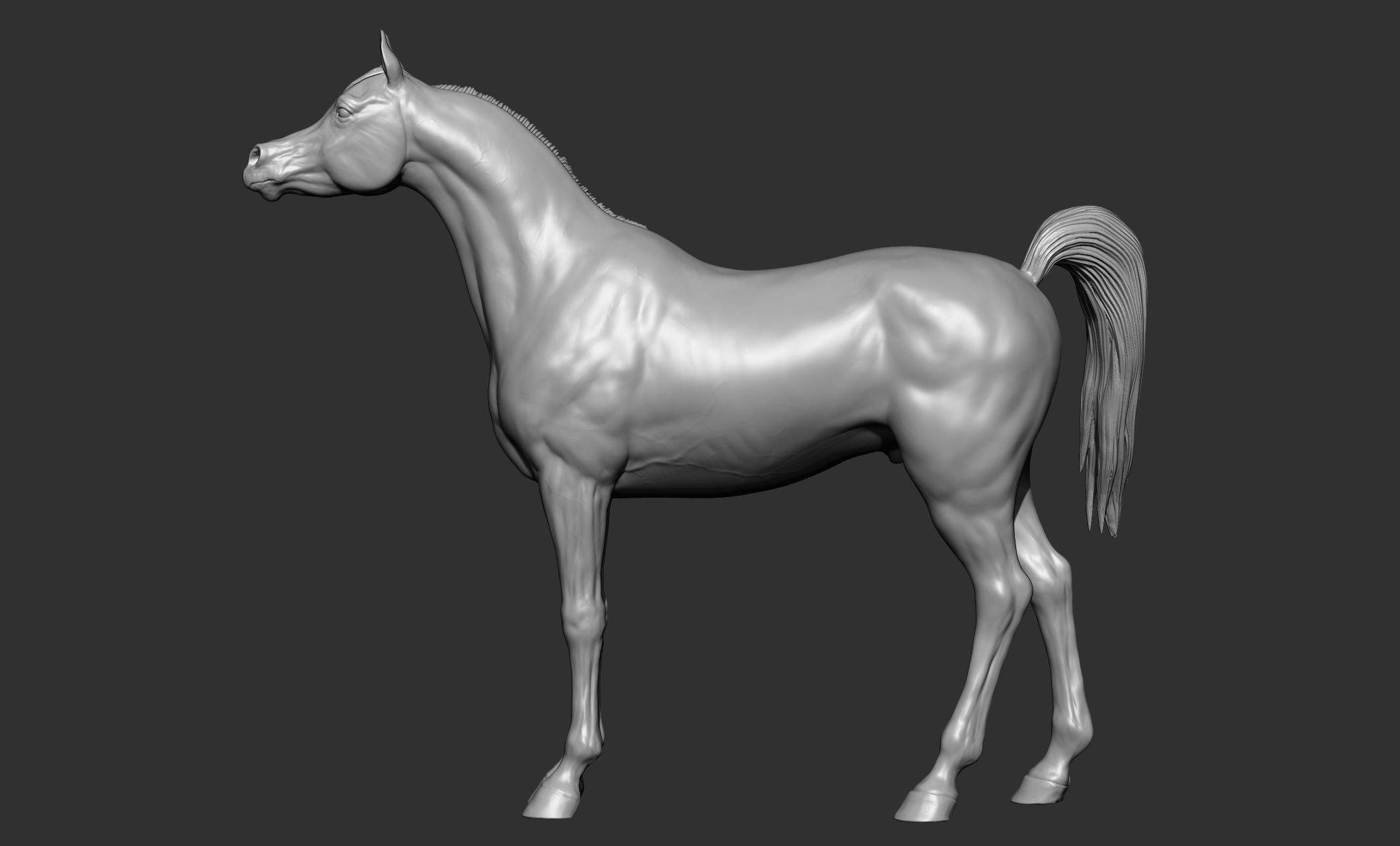 7-Arabian Horse Poses 3D model_15