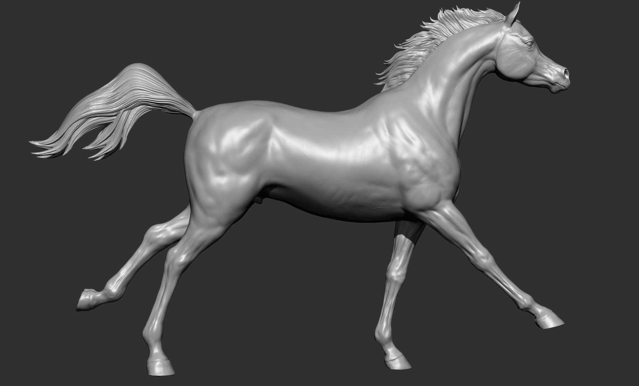 7-Arabian Horse Poses 3D model_25