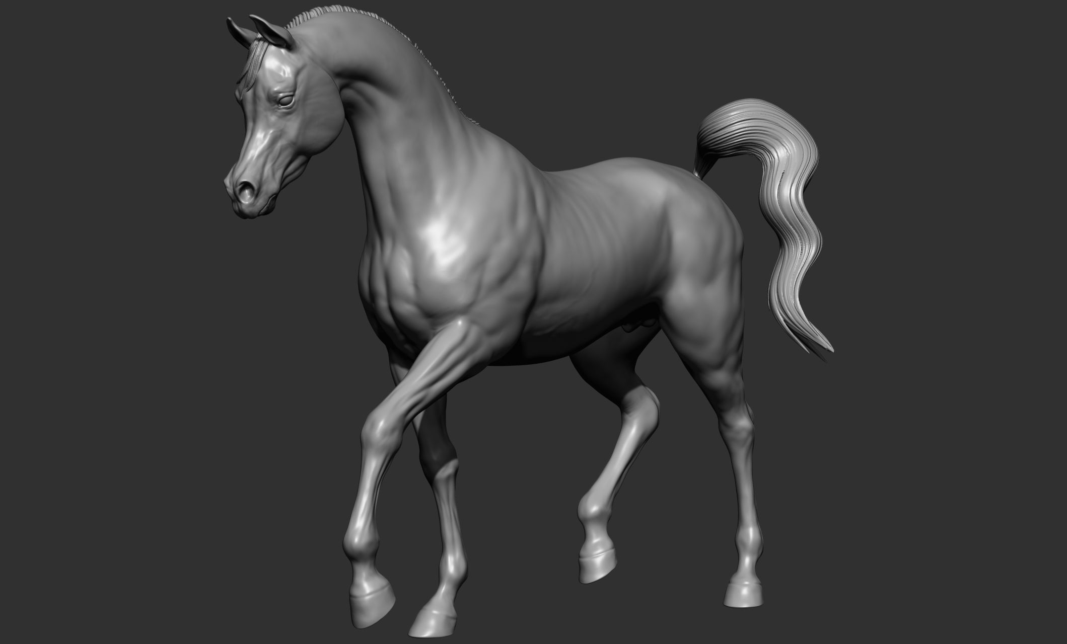 7-Arabian Horse Poses 3D model_39