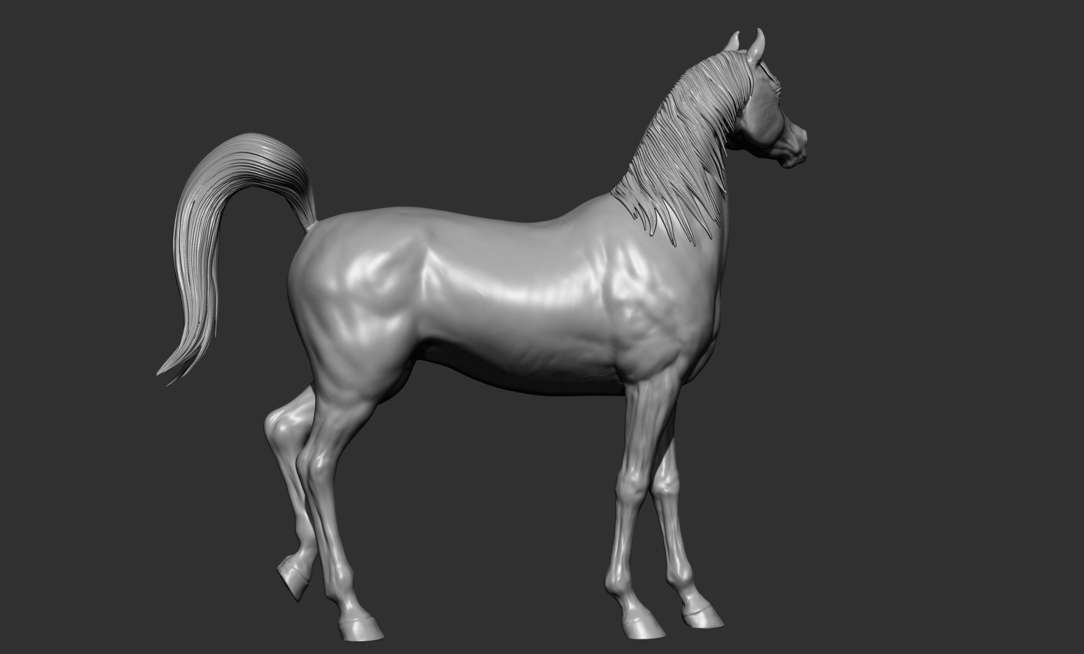 7-Arabian Horse Poses 3D model_11