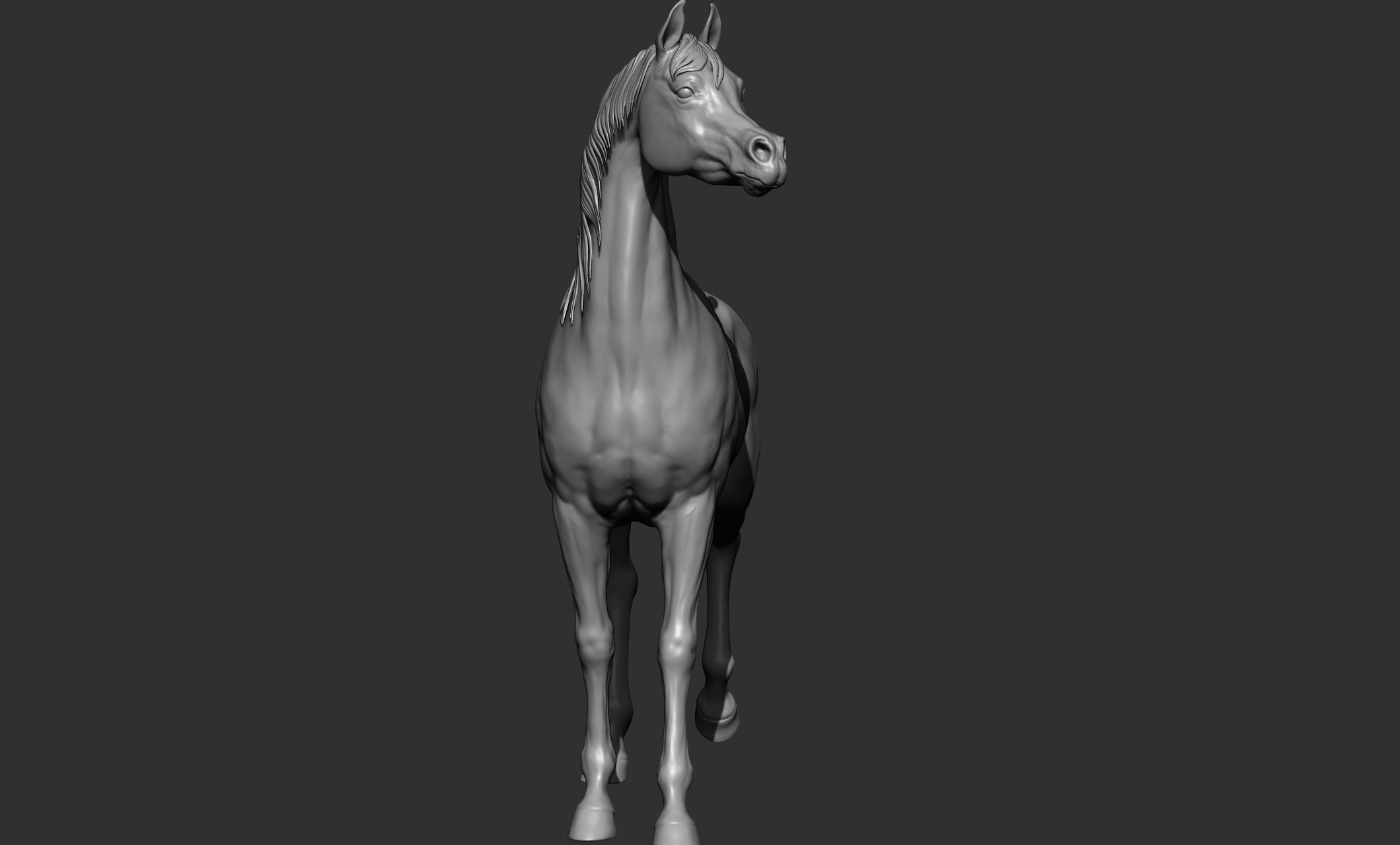 7-Arabian Horse Poses 3D model_9