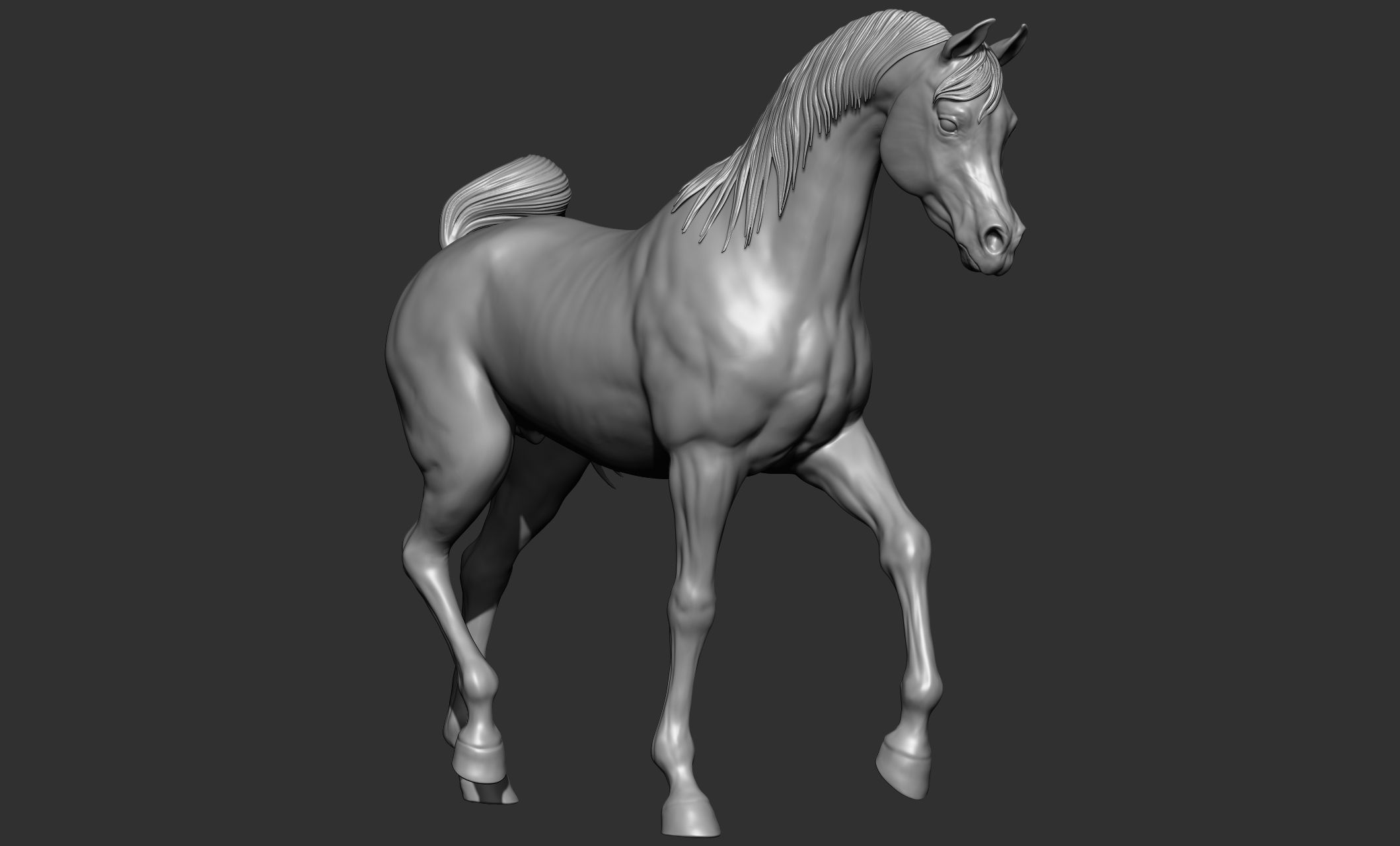 7-Arabian Horse Poses 3D model_44
