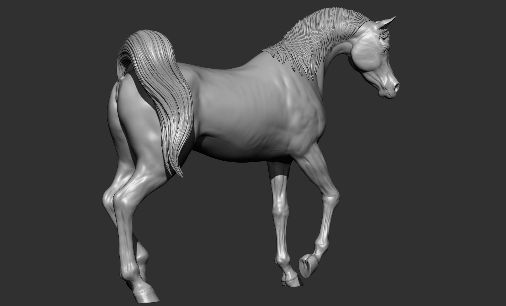 7-Arabian Horse Poses 3D model_30