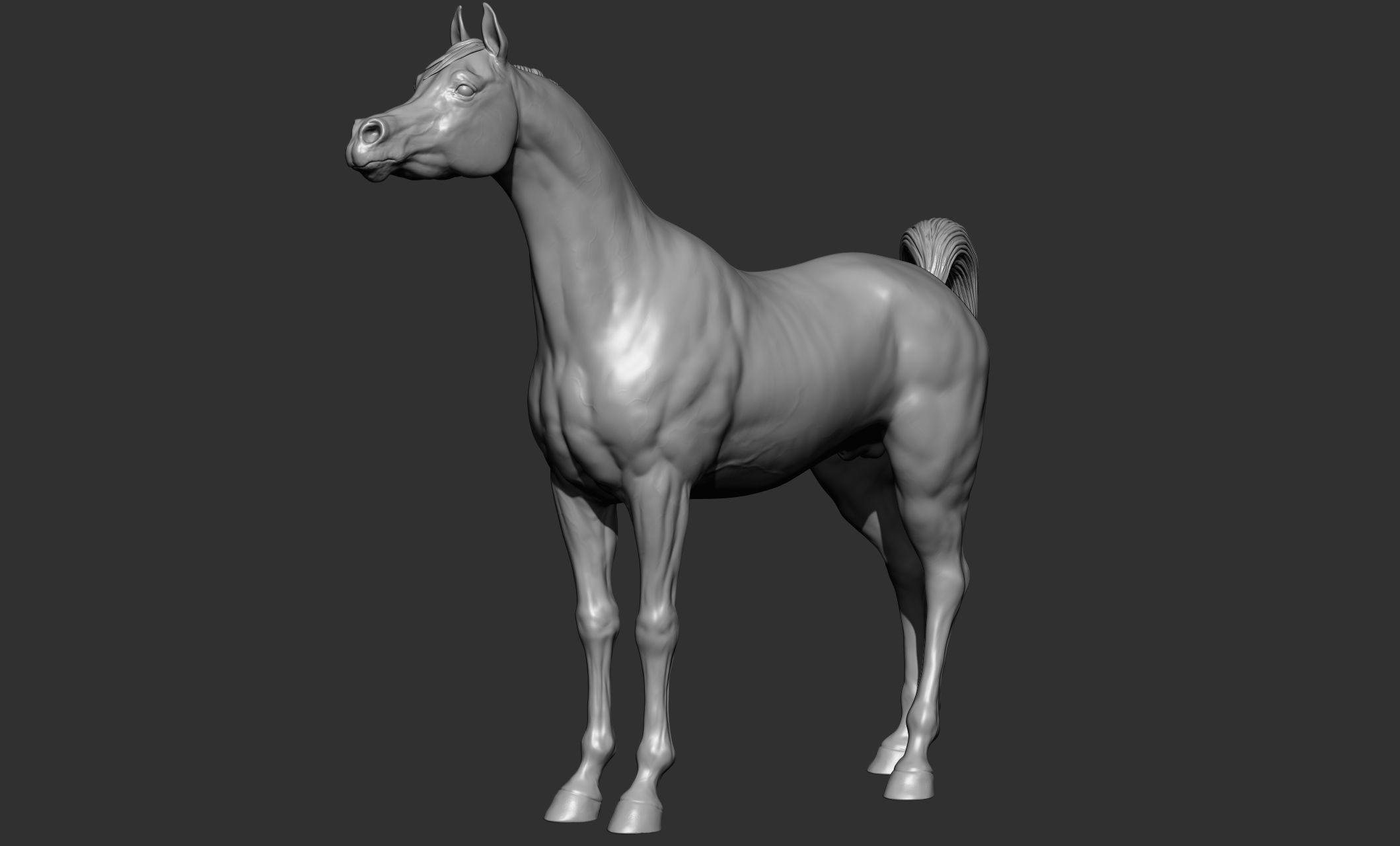 7-Arabian Horse Poses 3D model_14